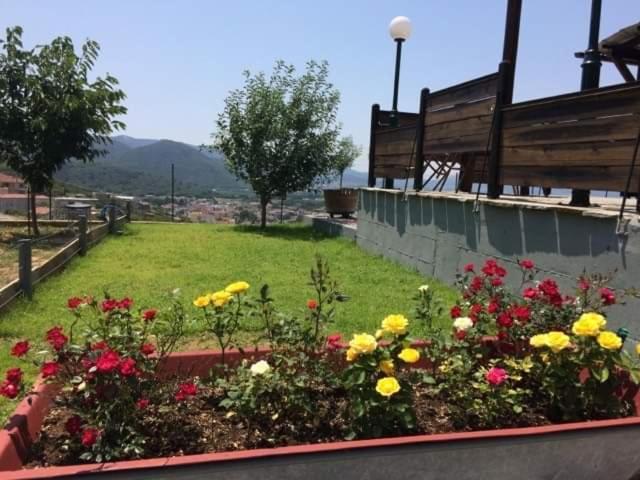 Lotos Villa Amigdhaleon Dış mekan fotoğraf