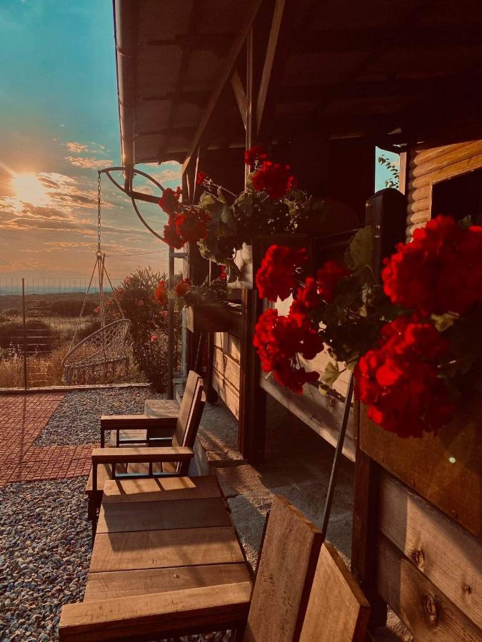Lotos Villa Amigdhaleon Dış mekan fotoğraf